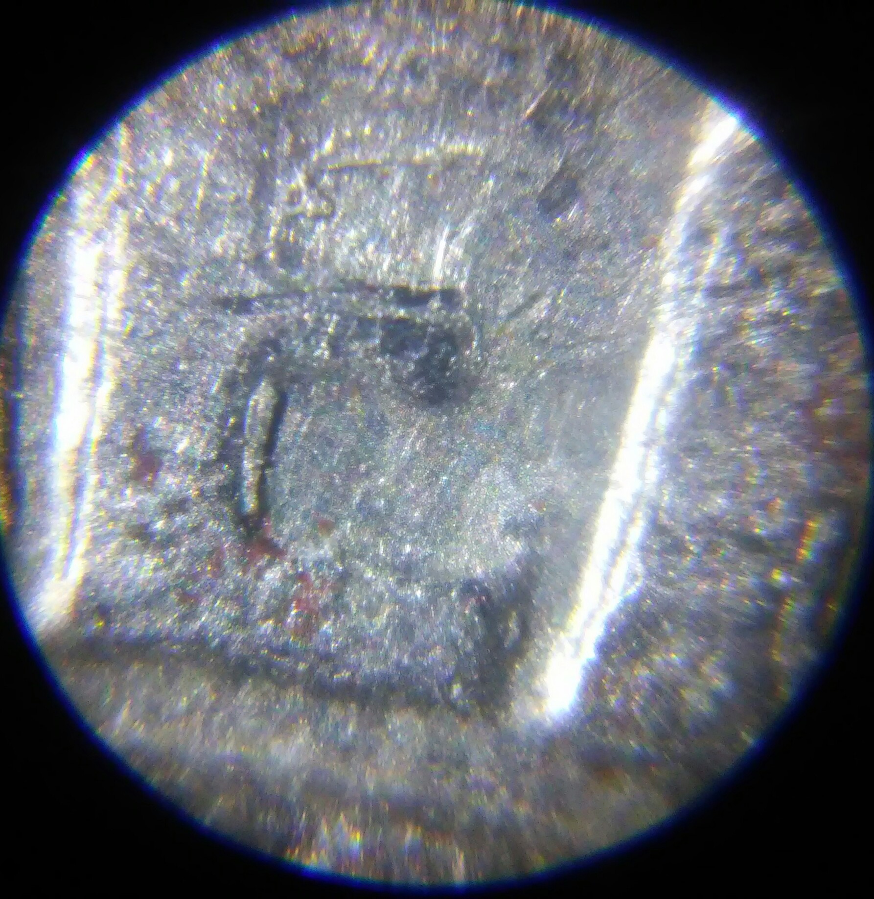 1015202105-1.jpg
