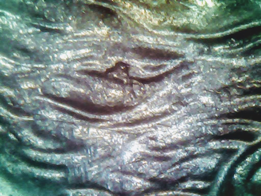 1016-8.jpg