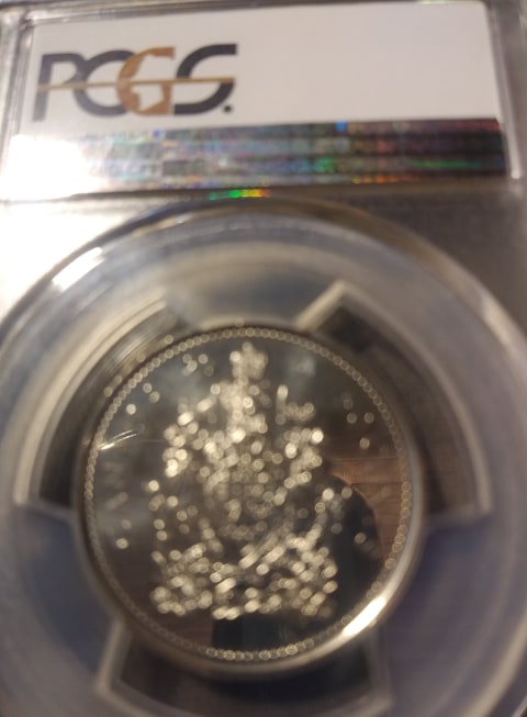 101606452_183754069608028_814026208172834816_n.jpg