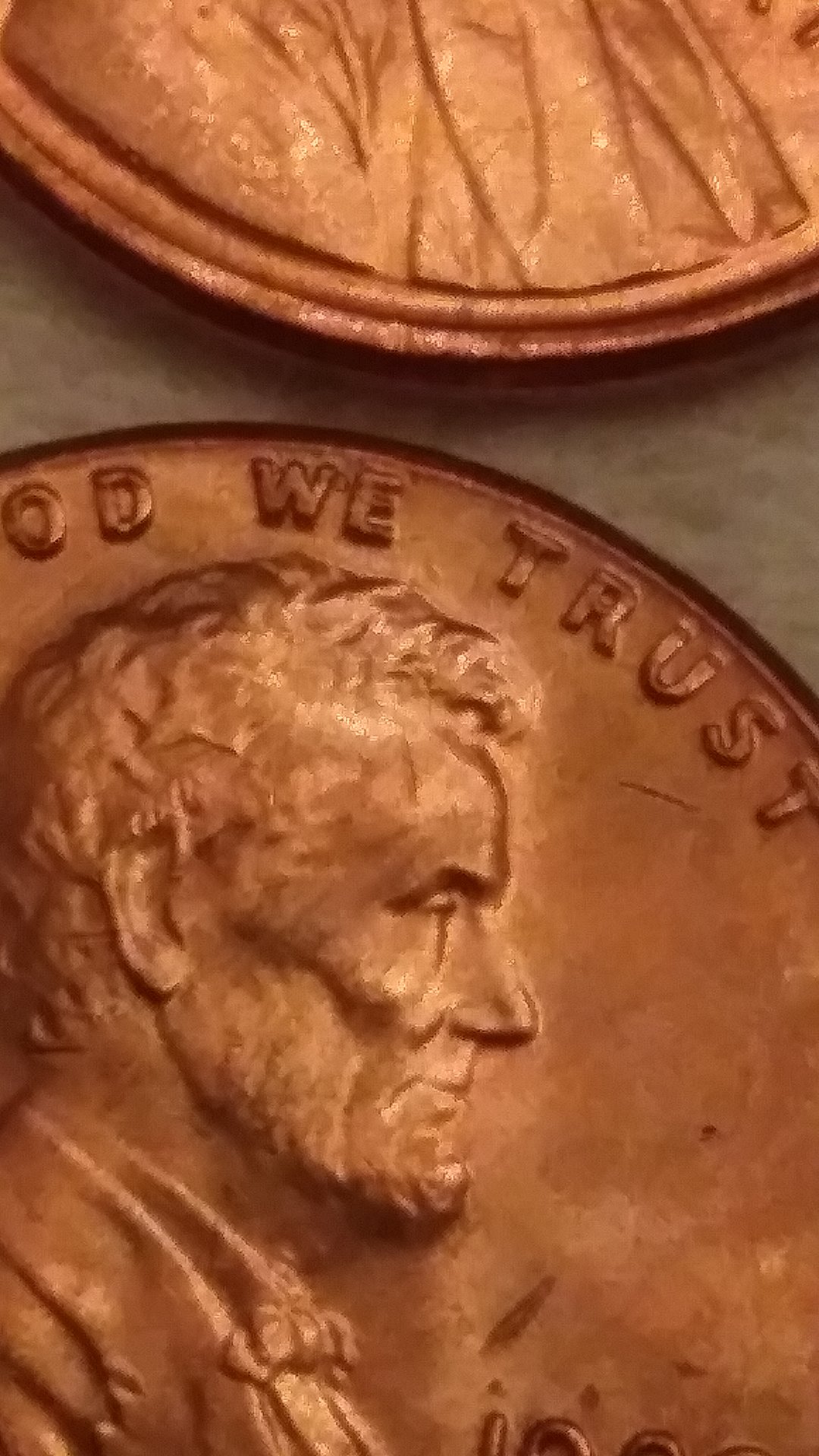 1016181854a.jpg