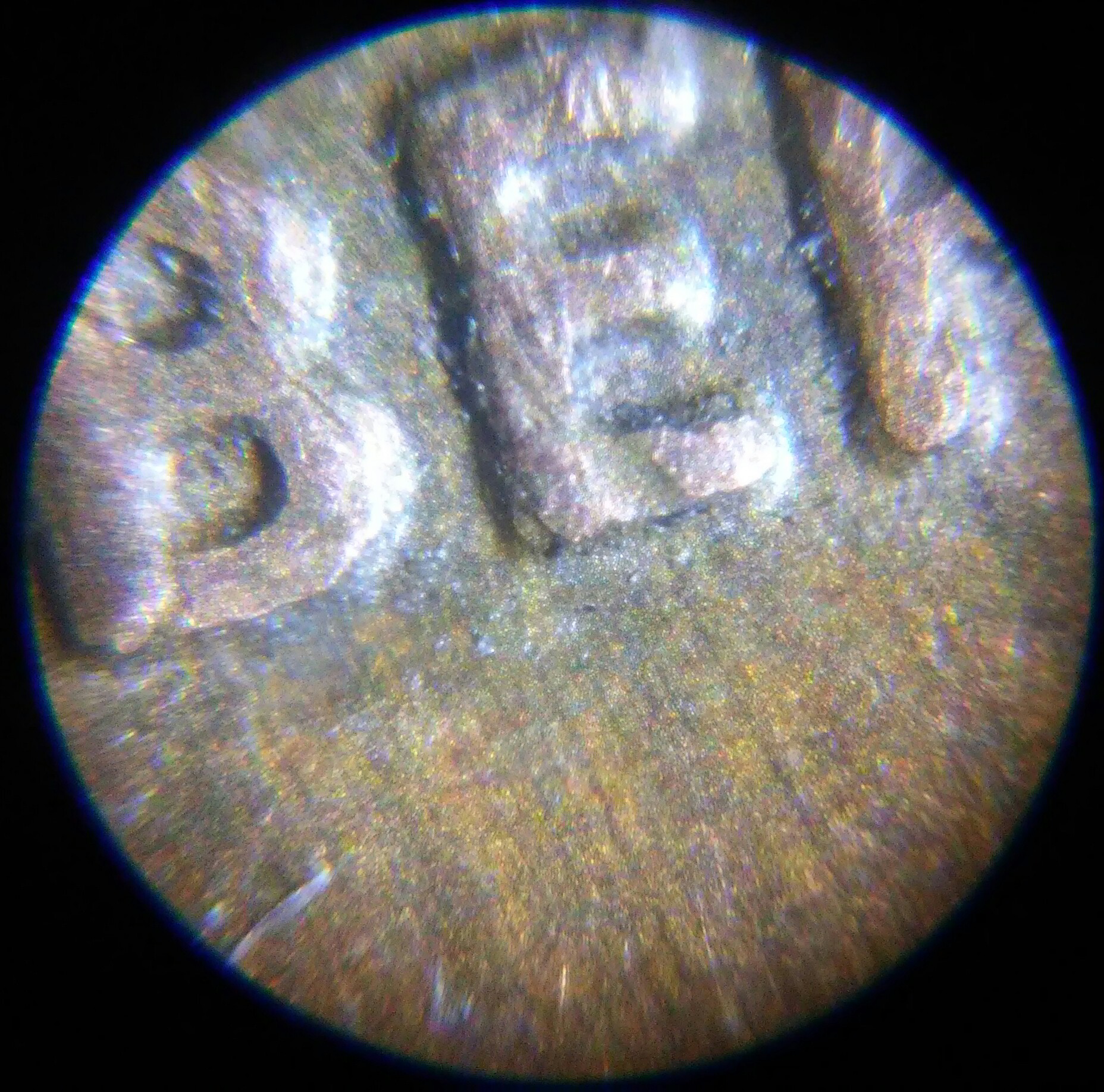 1016202154a-1.jpg