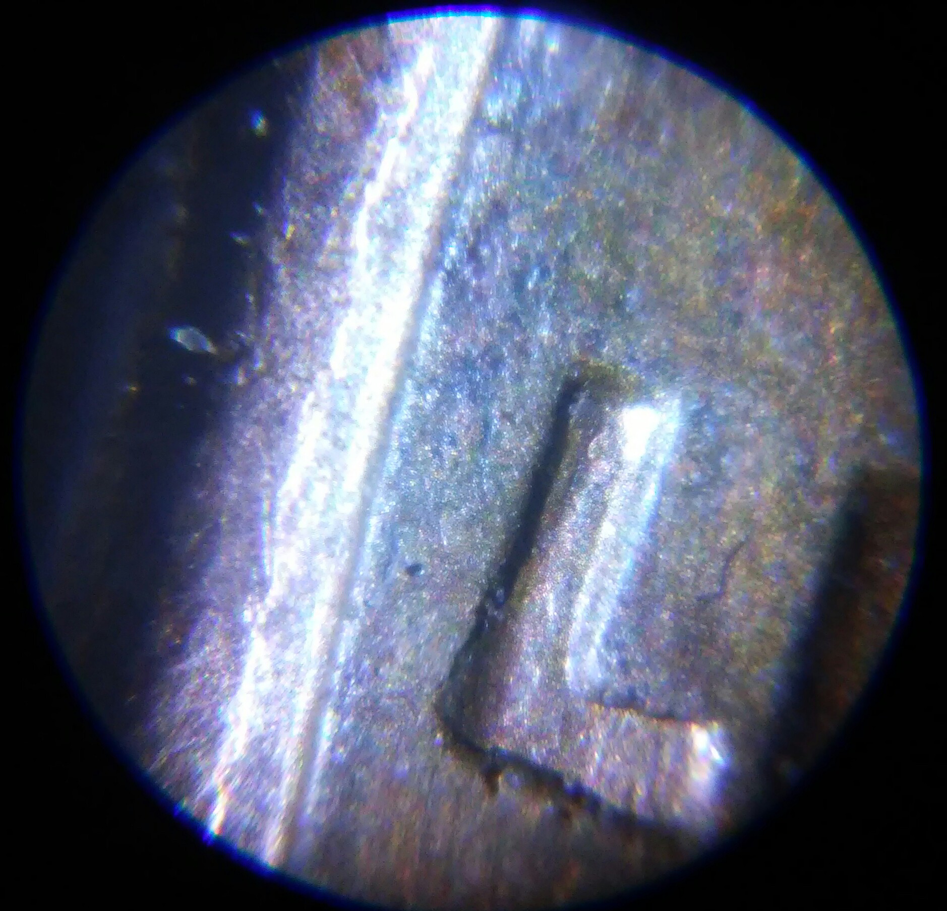 1016202206a-1.jpg