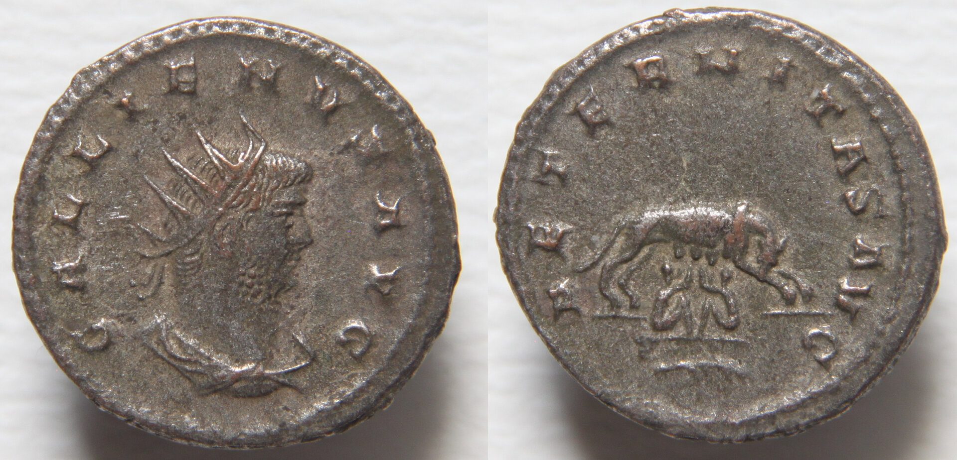 101_gallienus_aeterniatas_avg.JPG
