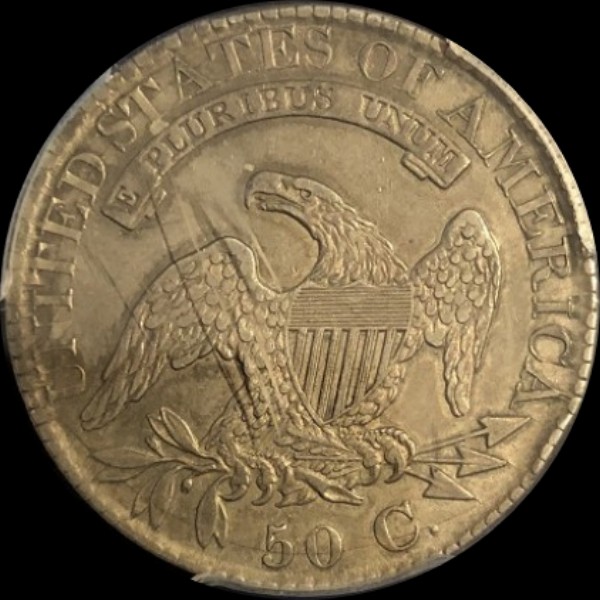 101r.jpg