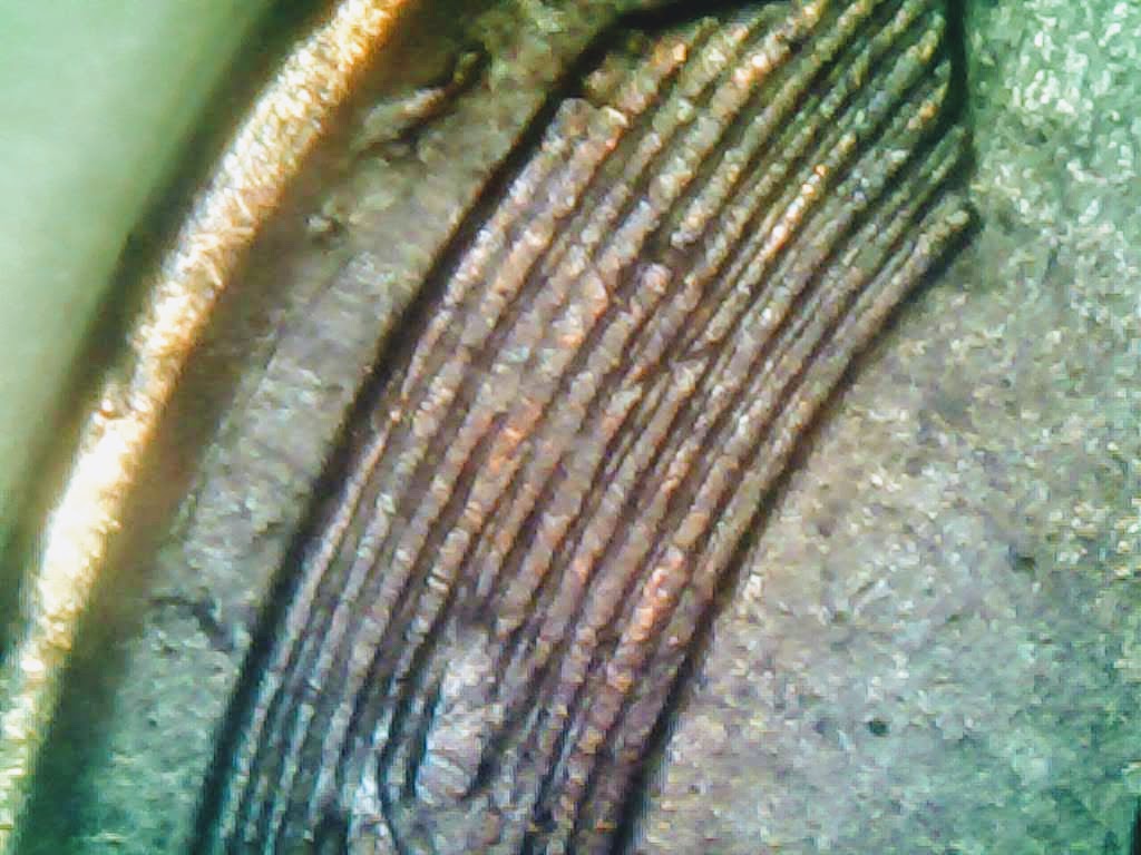 1020-7.jpg