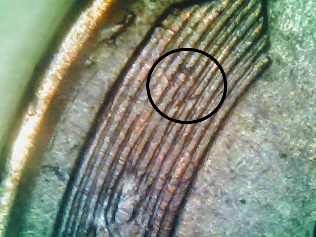 1020-7.jpg