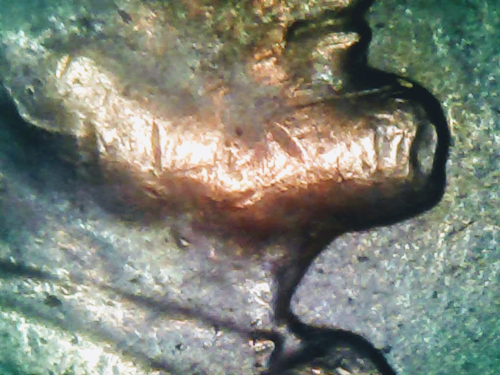 1020-9.jpg