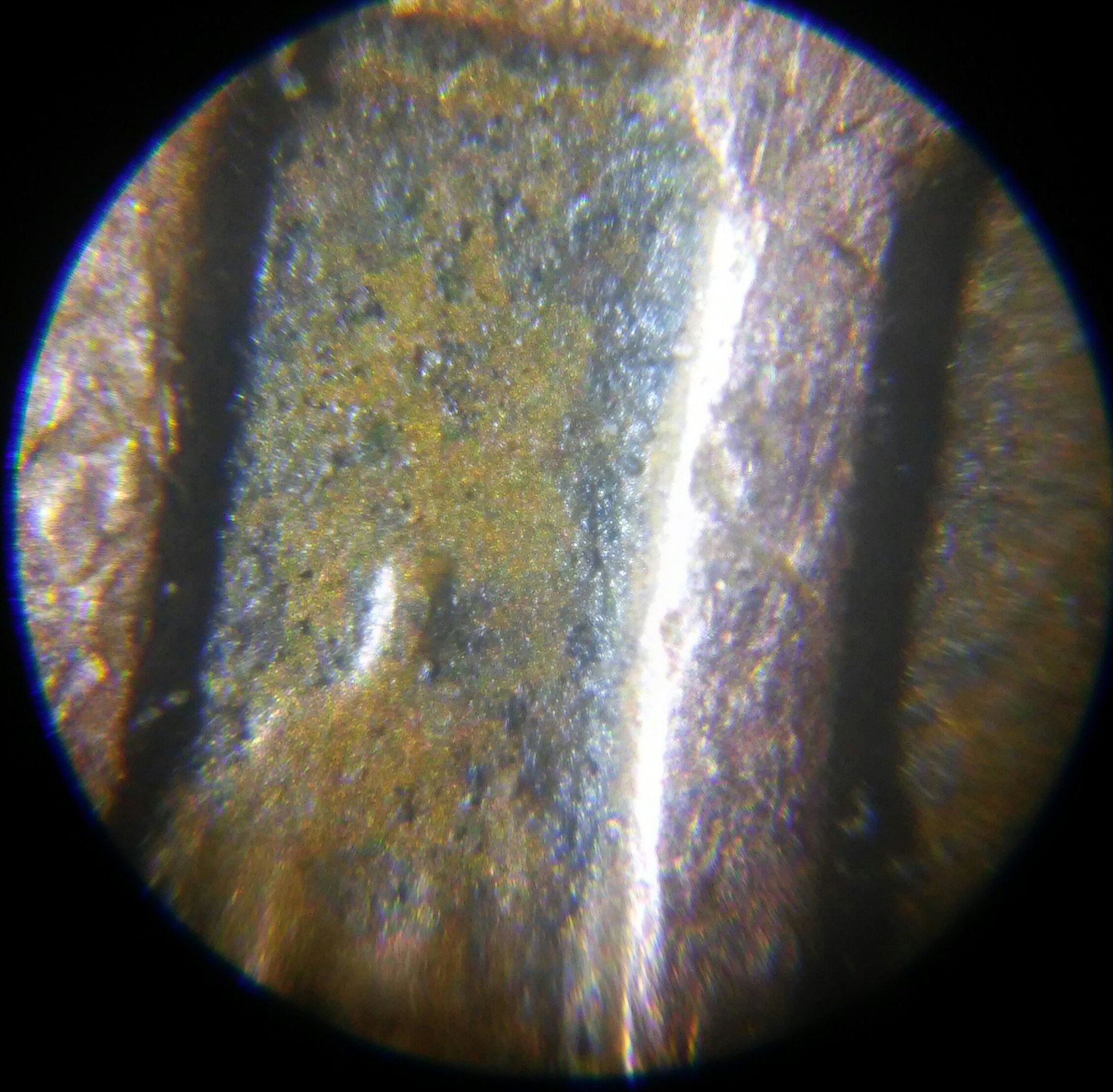 1021200341a-1.jpg
