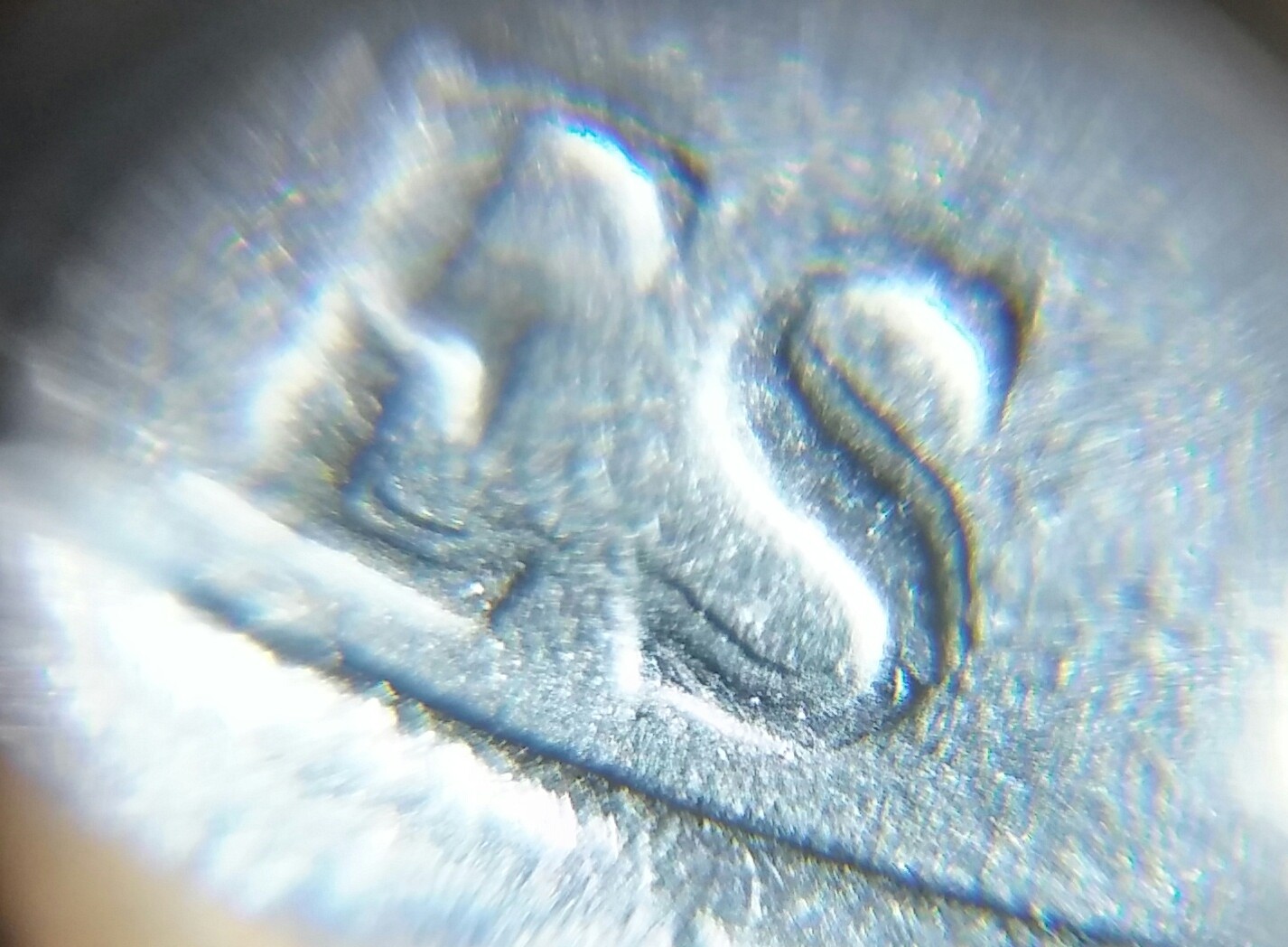 1022180303a_HDR~2.jpg