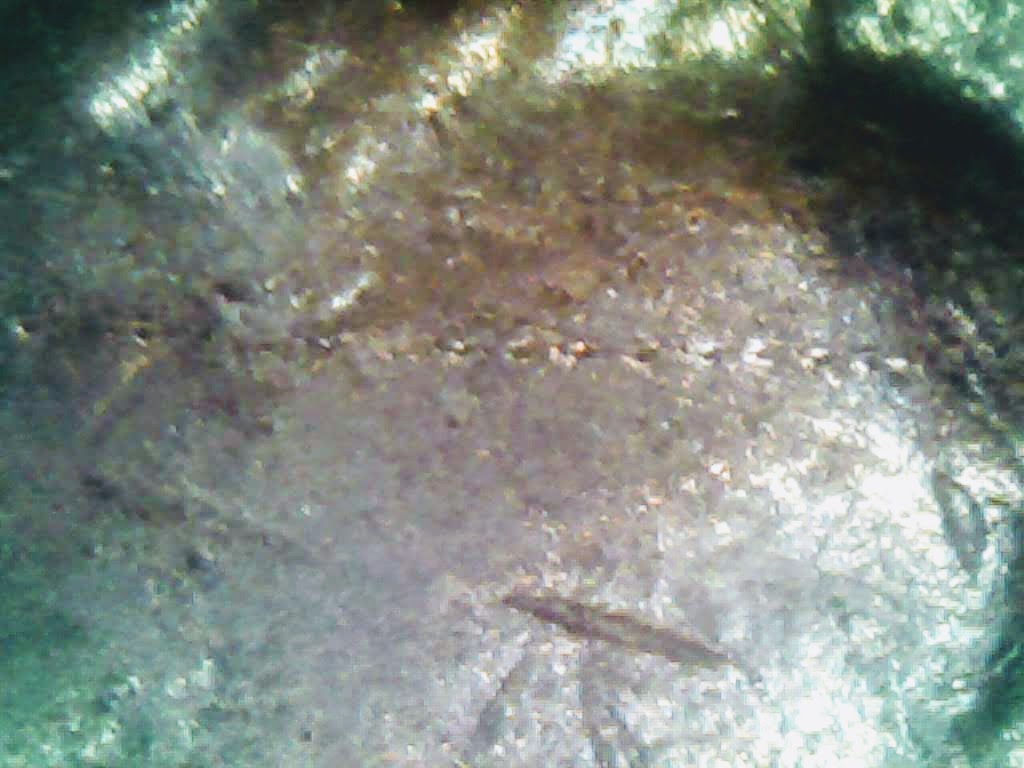 1022_1.jpg