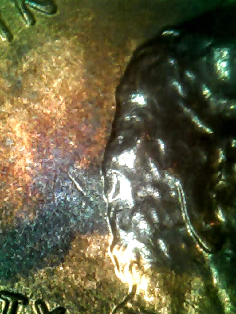 1023-10.jpg