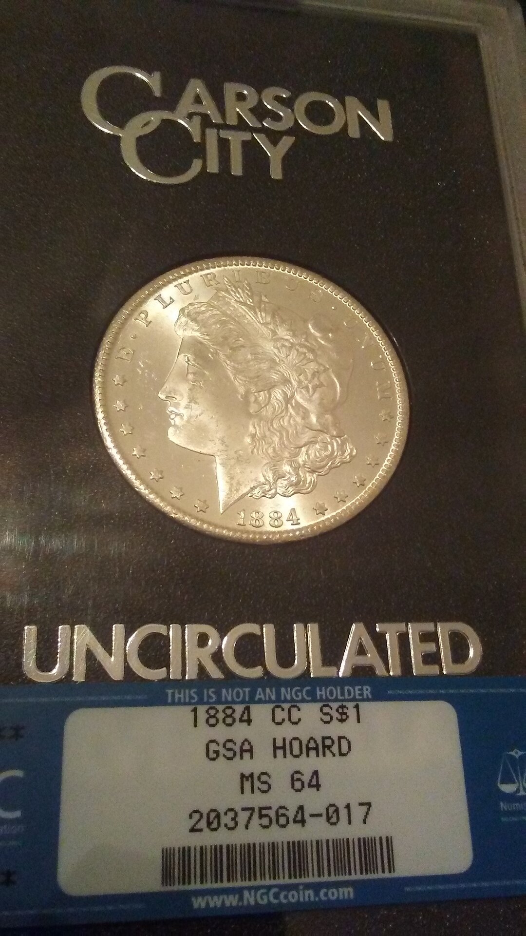 1024181728d.jpg