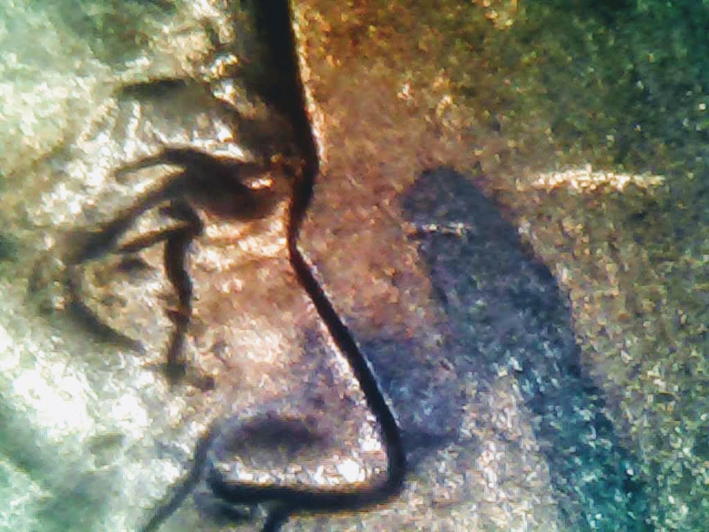 1025-9.jpg