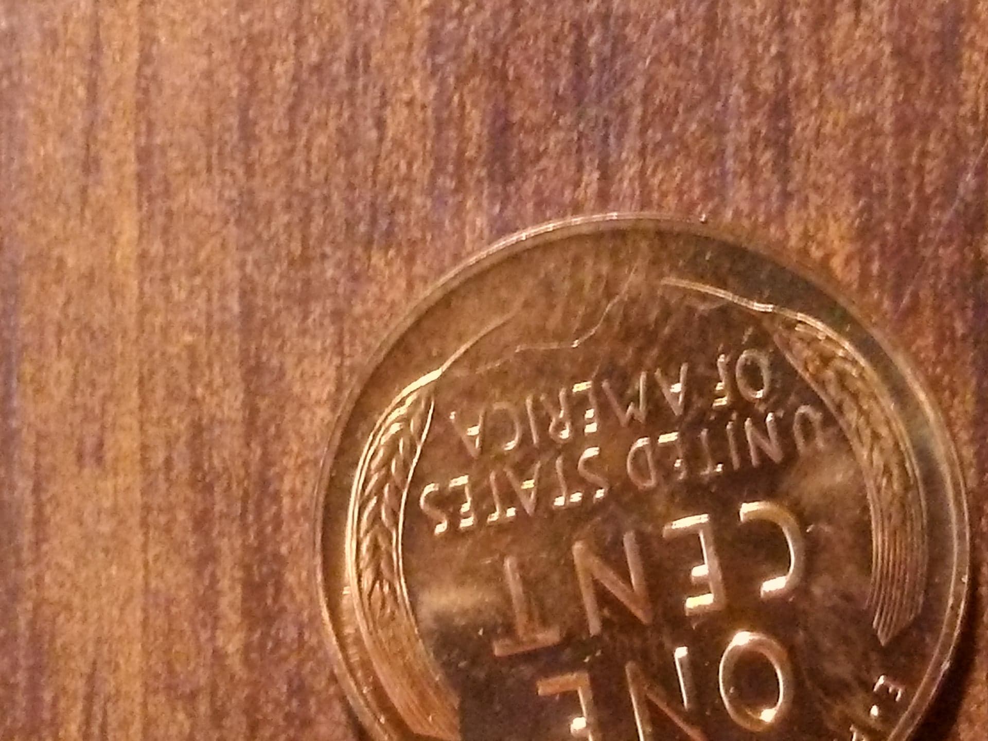 103413953_337021830615967_5392951069873212574_n.jpg