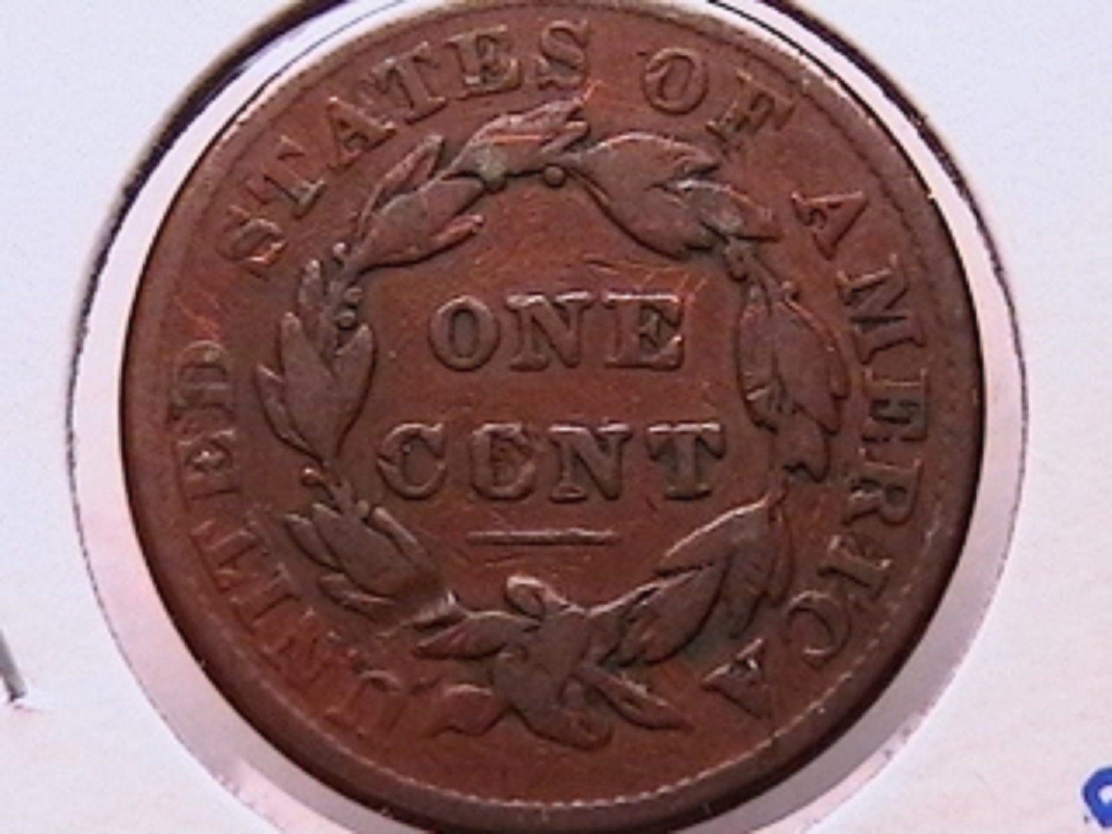 105d.jpg