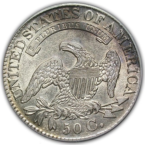 10675877r.jpg