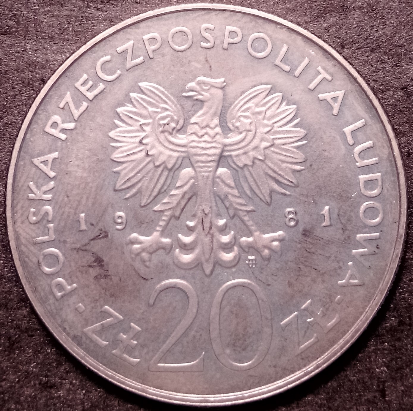 107.jpg