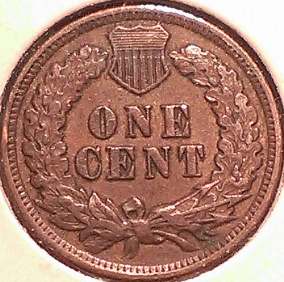 10941517_10205994387927229_2785234158591980893_n.jpg