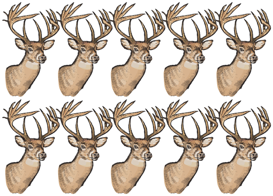 10_bucks_sayshdo51.png