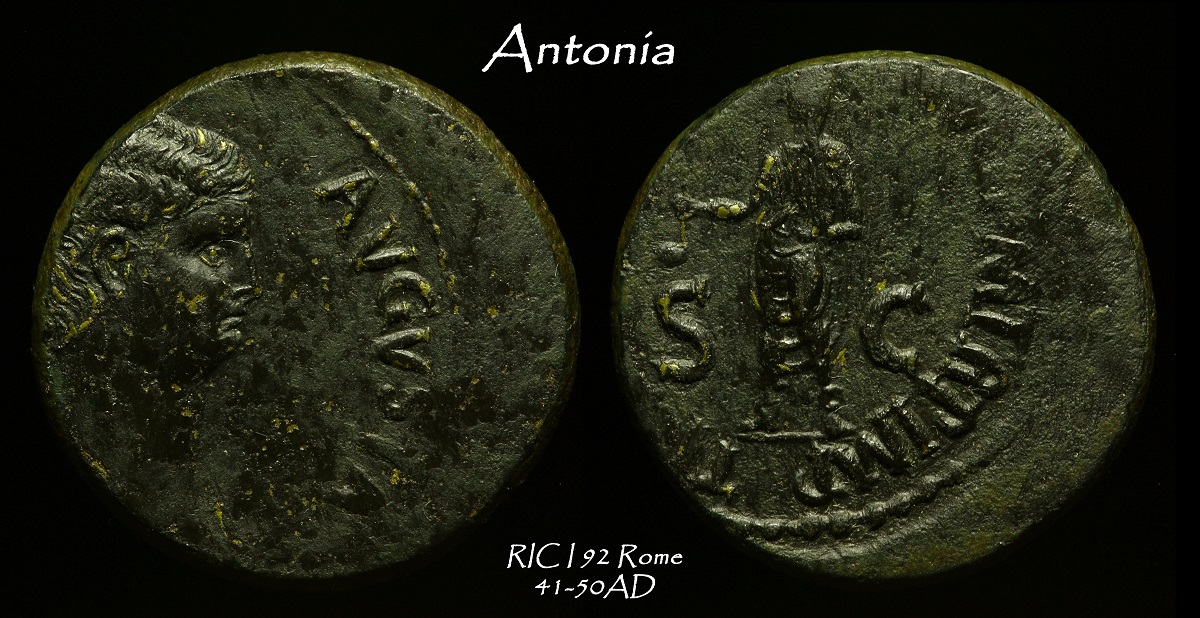 10b.jpg