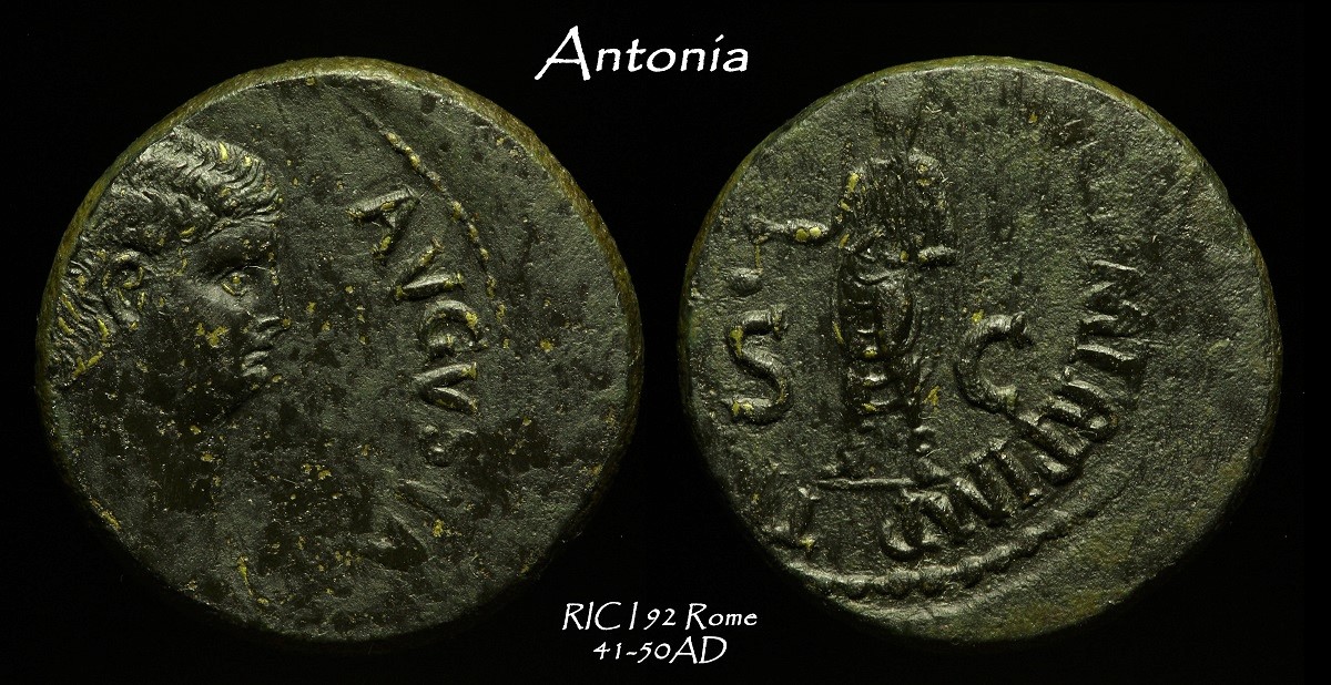 10b.jpg