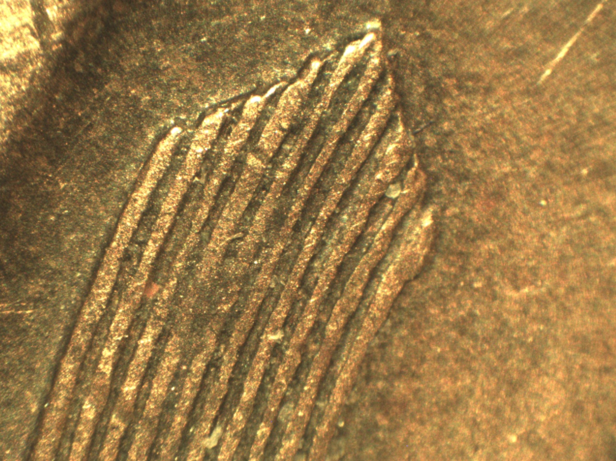 10p3.jpg