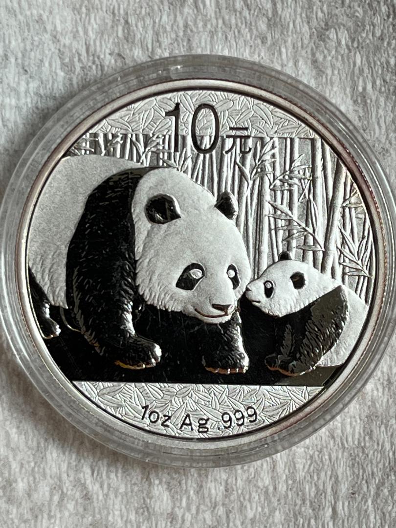 '11 Panda.jpeg