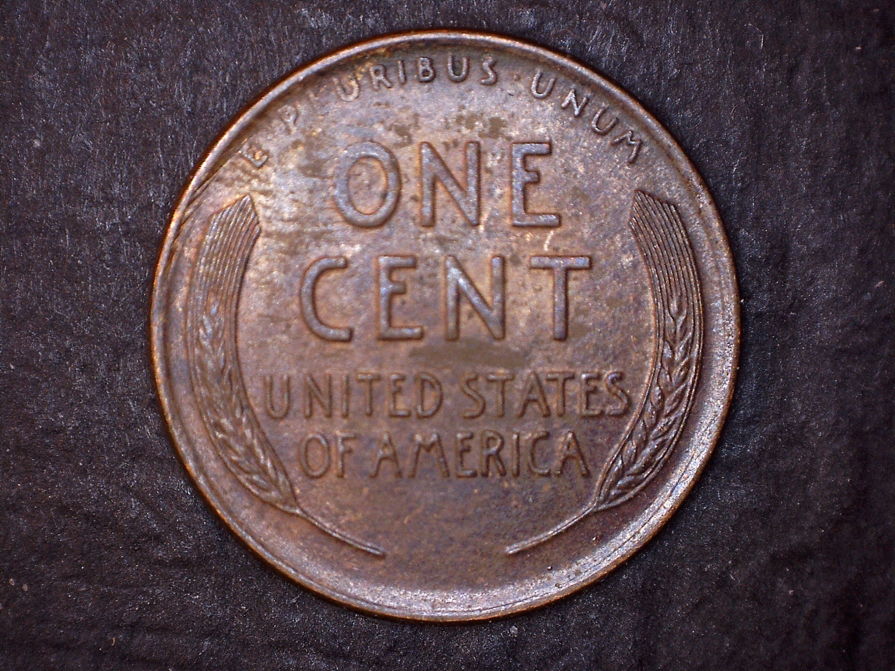 11 r.jpg