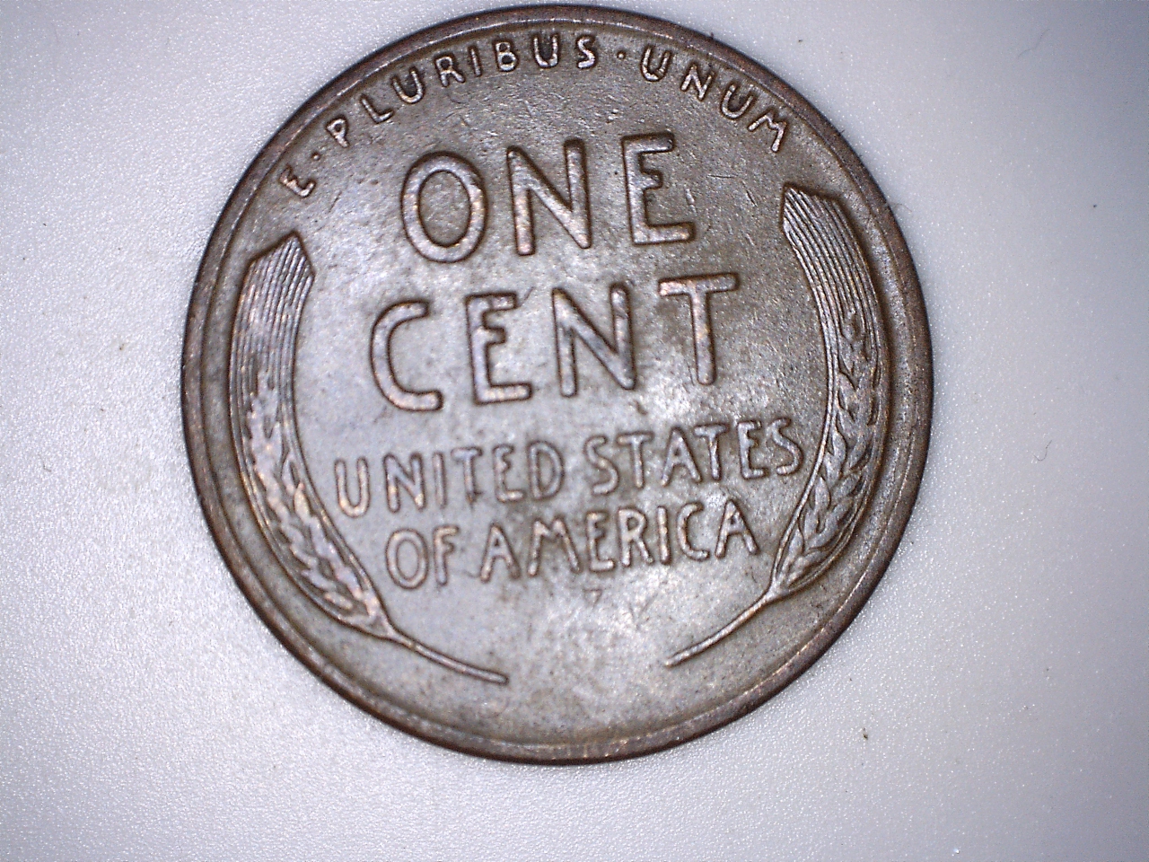 11 r.jpg