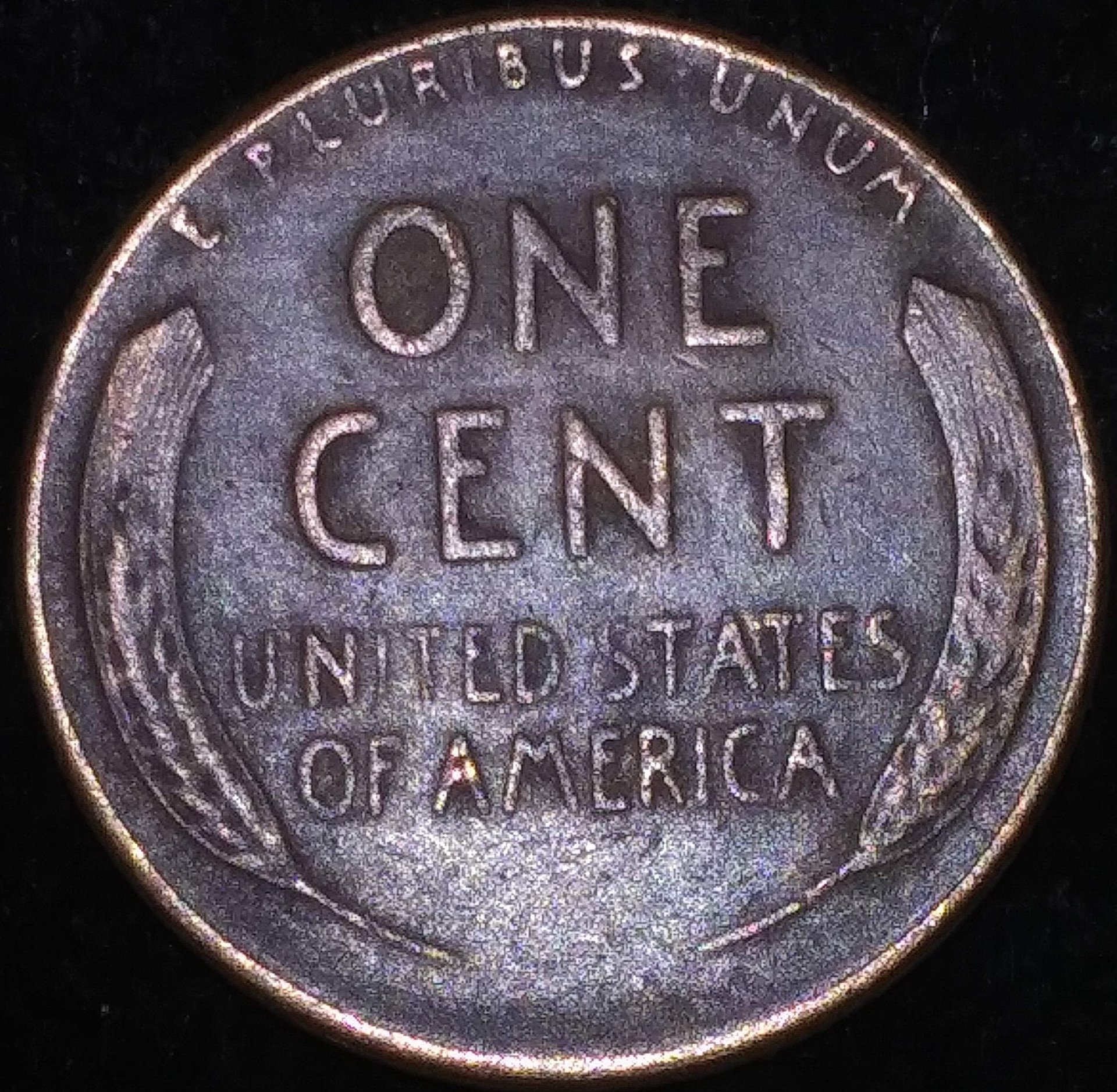 1105181947.jpg