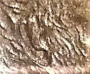 1107180432 (2).jpg