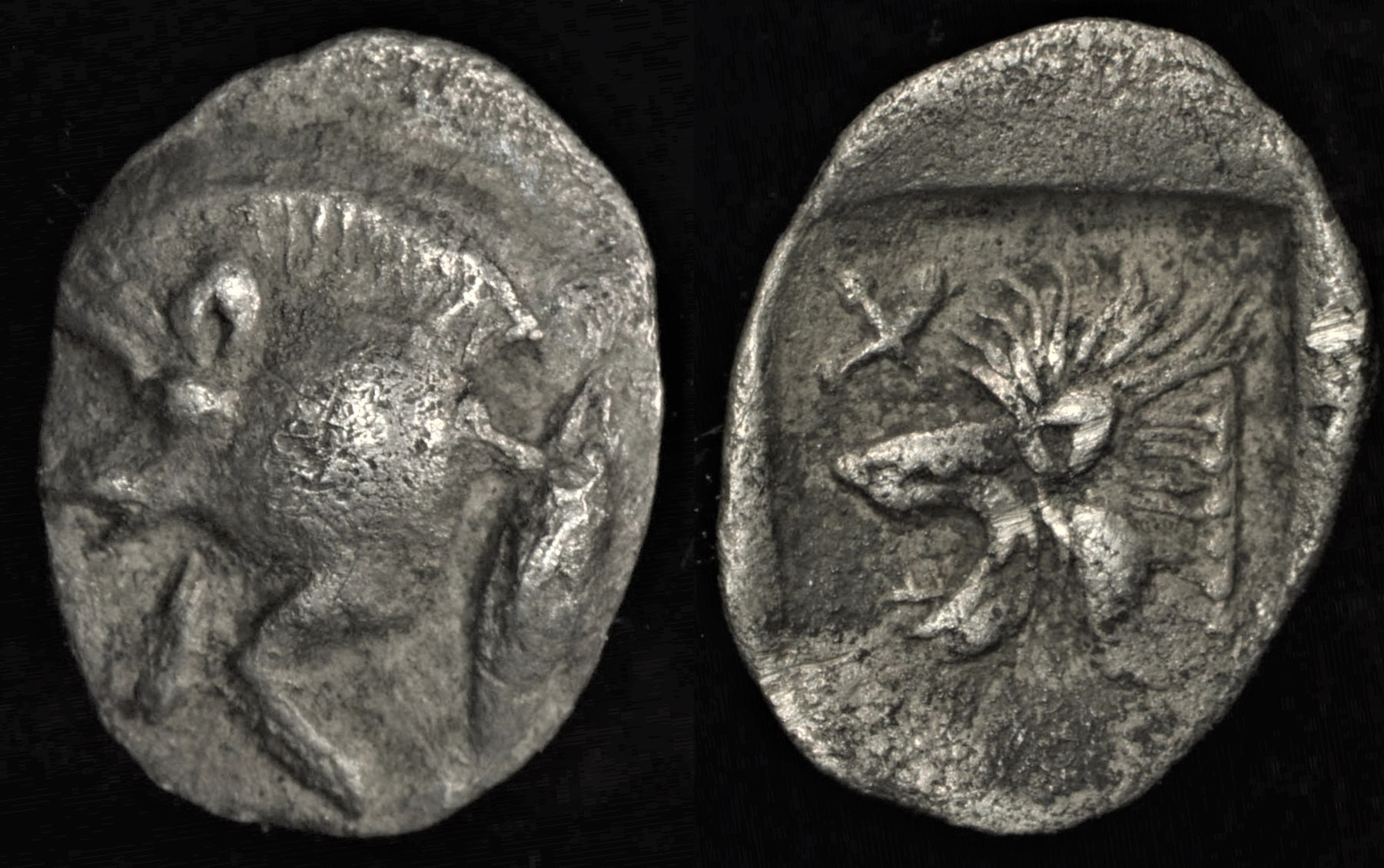 [11104] Annonymous - Mysia. Kyzikos (AR Tetartemorion, c.480 BC).jpg