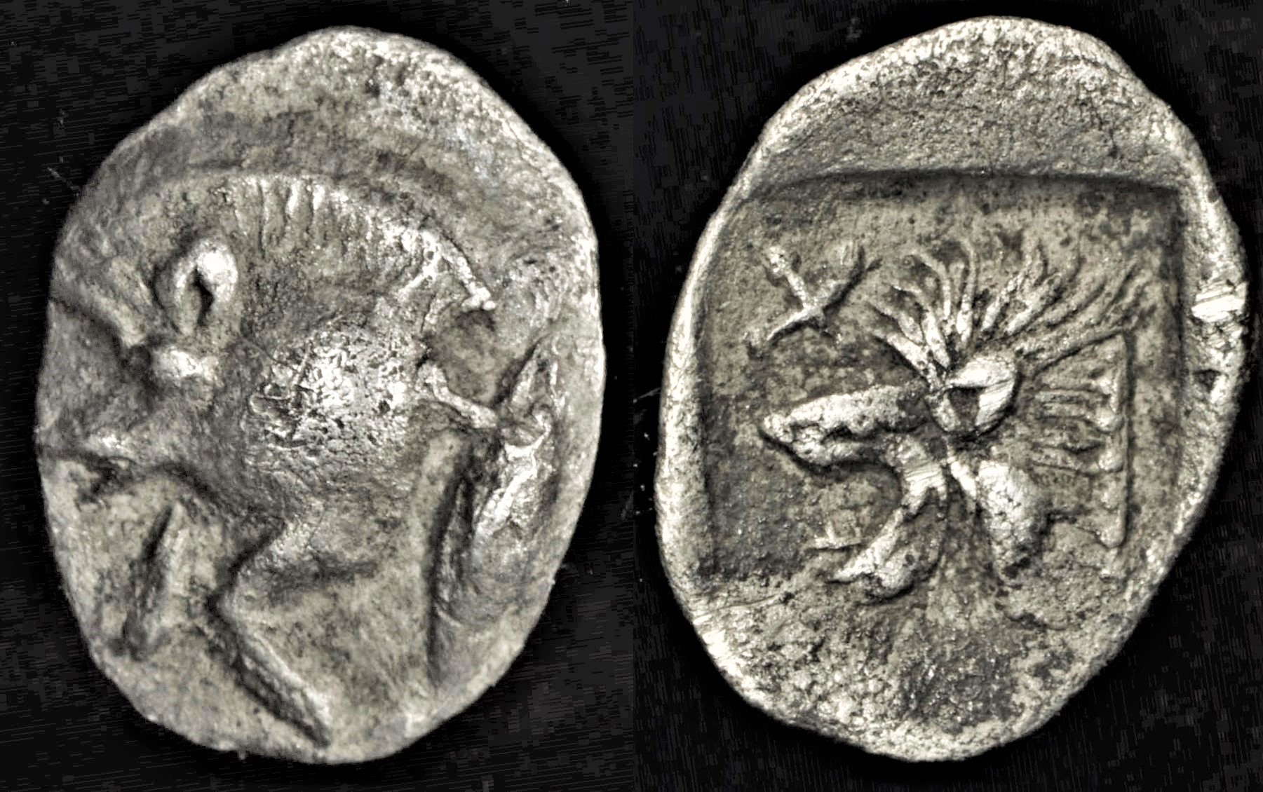 [11104] Annonymous - Mysia. Kyzikos (AR Tetartemorion, c.480 BC).jpg