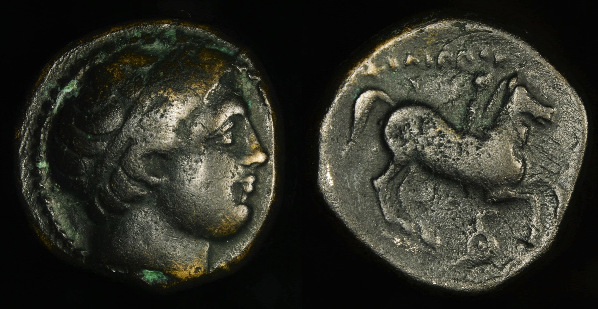 [11108] Philip II - uncertain (AE 17, 359-336 BC).jpg