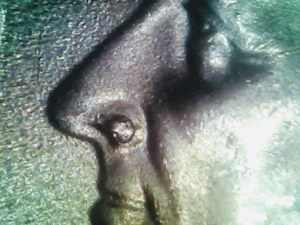 1113-37.jpg