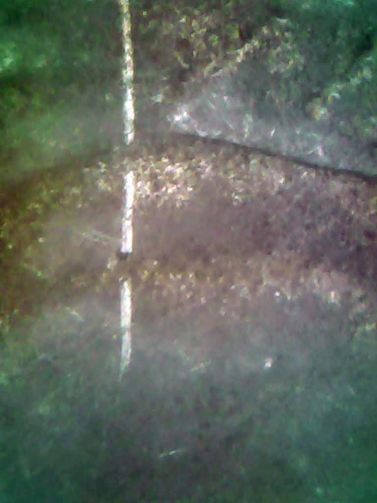 1114-11.jpg