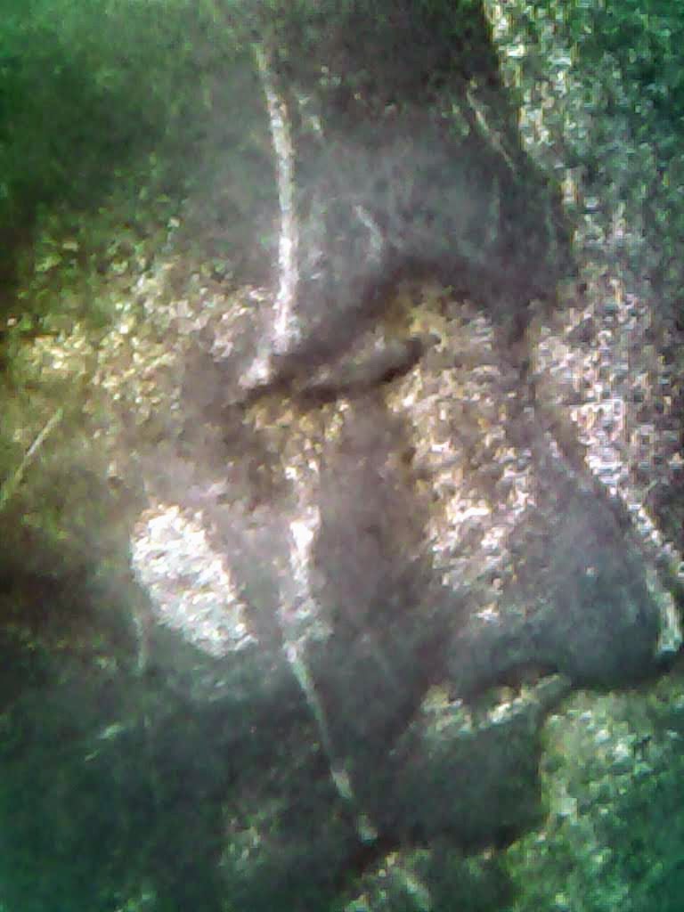 1114-13.jpg