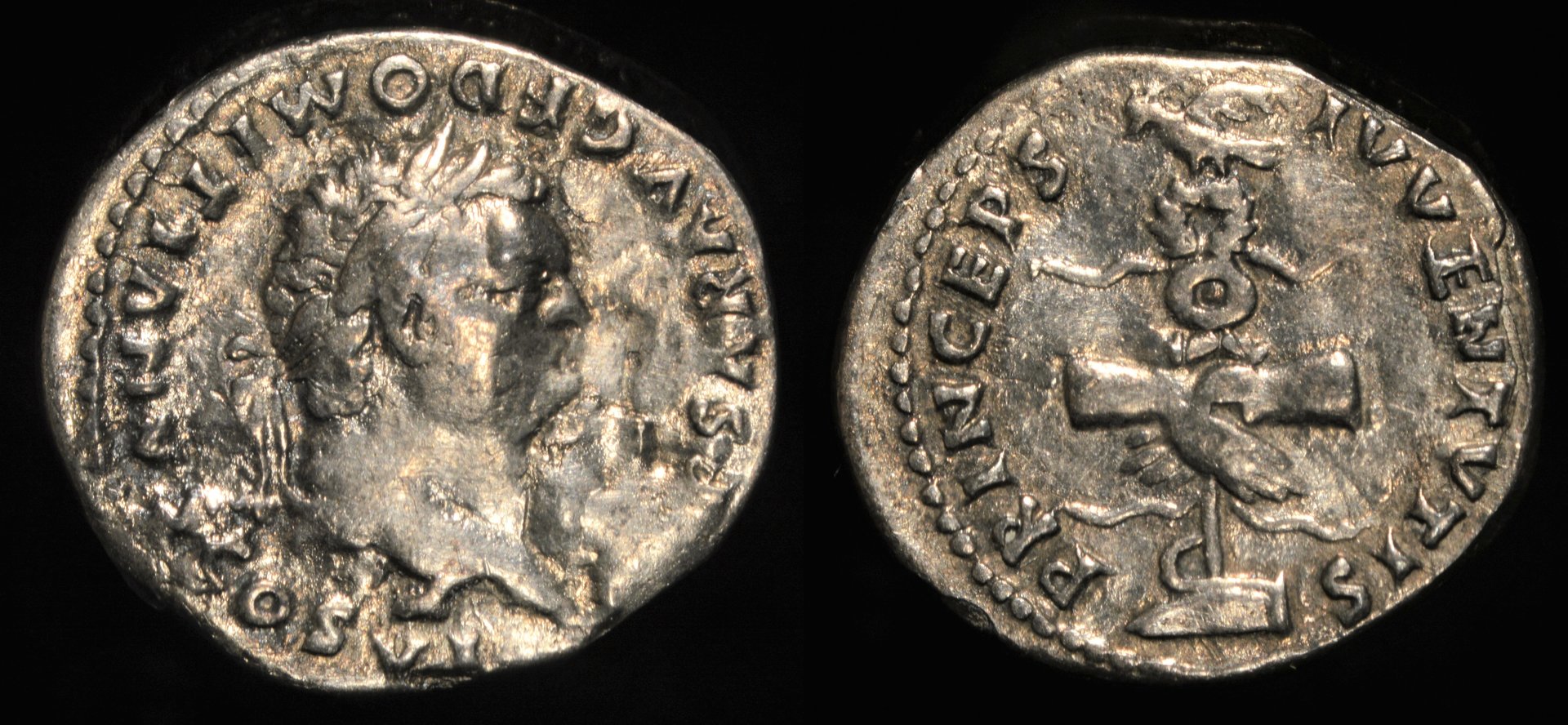 [11141] Domitian - Rome, Italy (AR denarius, 79 AD).jpg