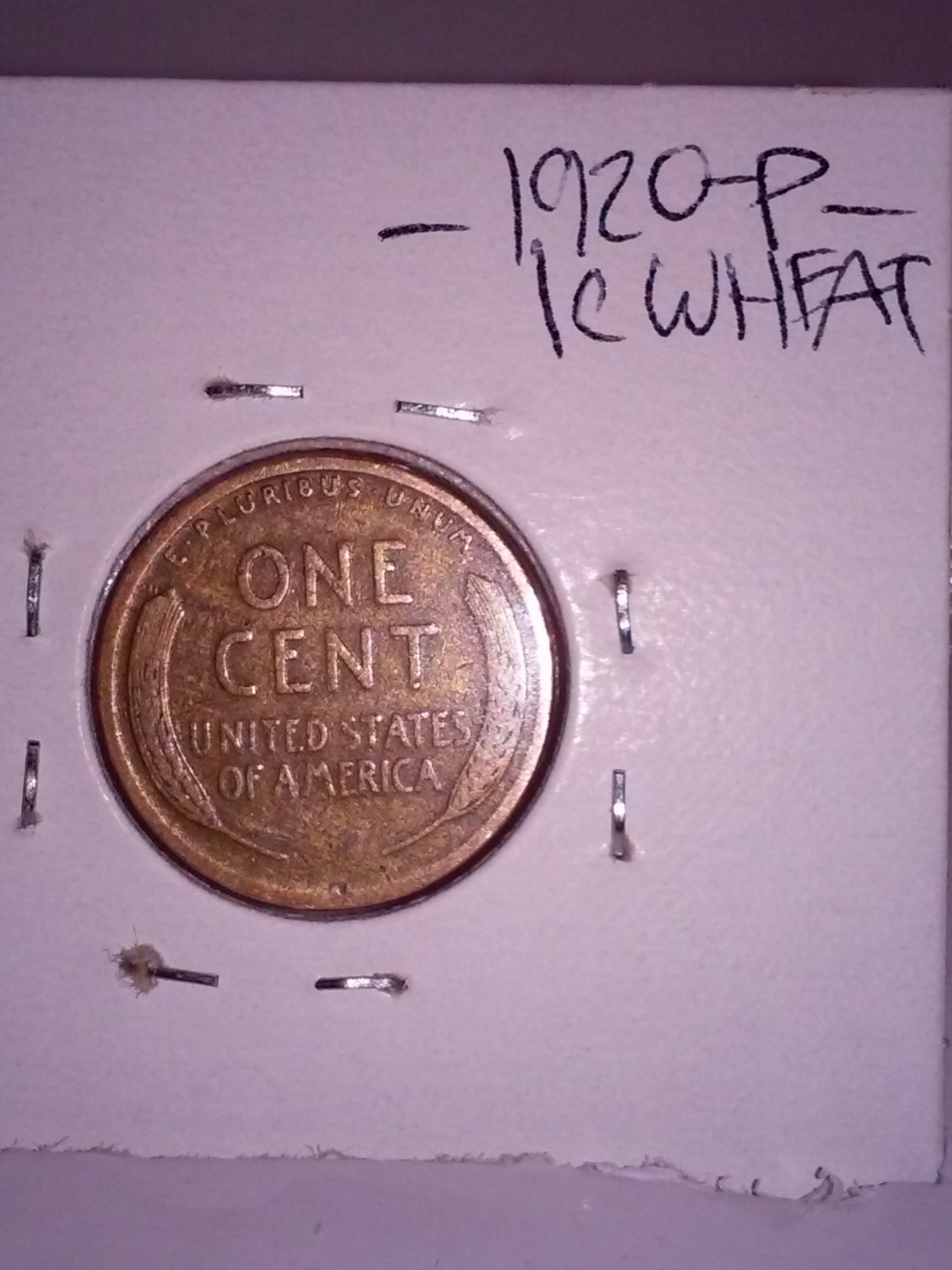 1114142318.jpg