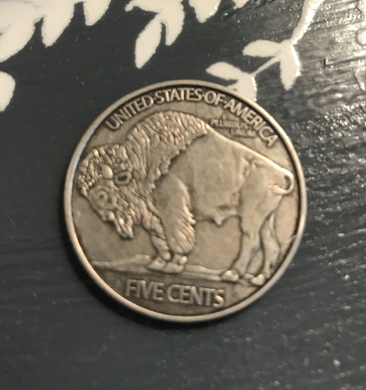 11261188b.jpg