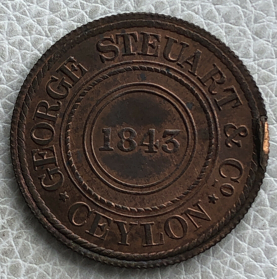 11261315b.jpg