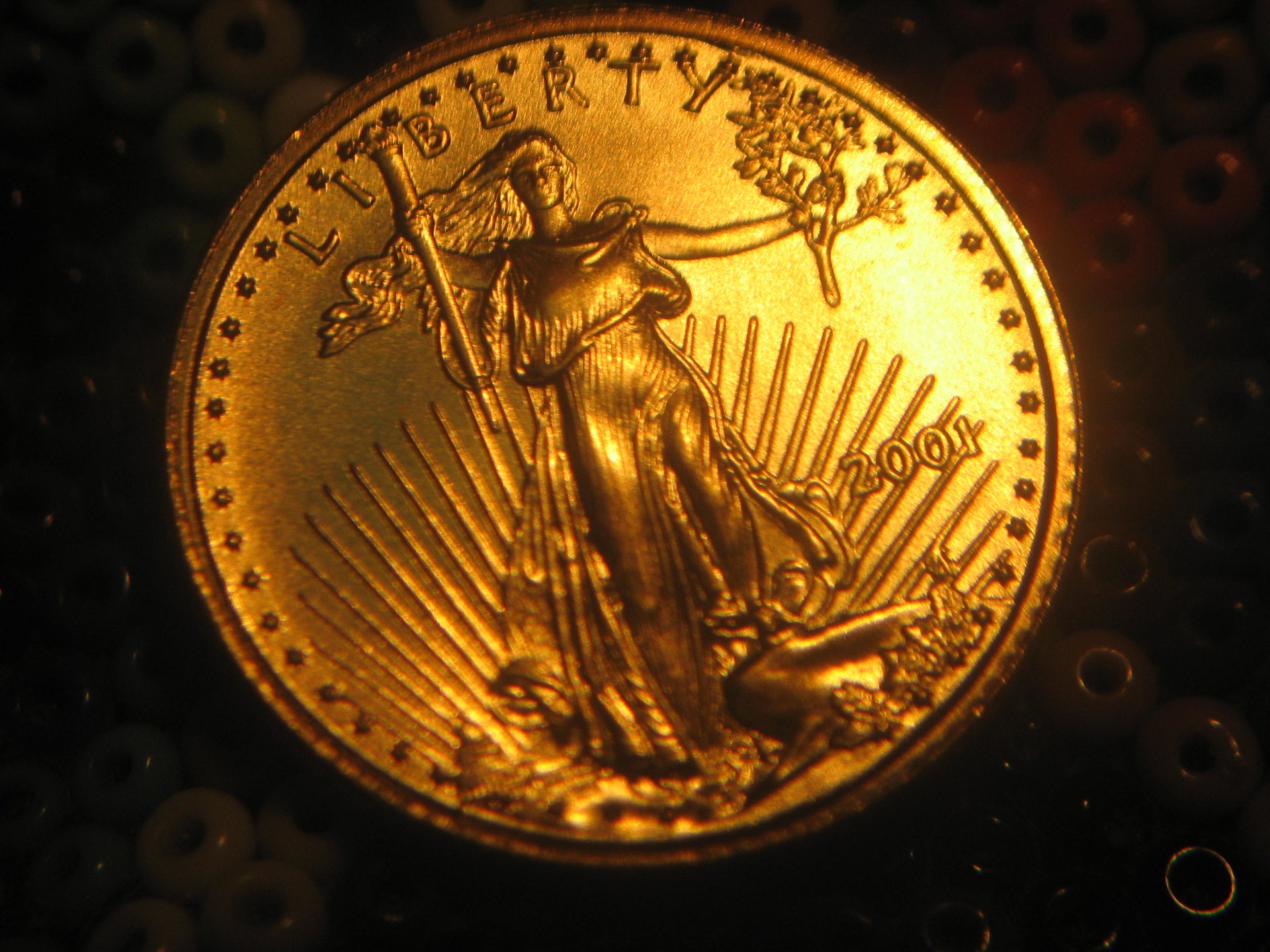 1126180d.JPG
