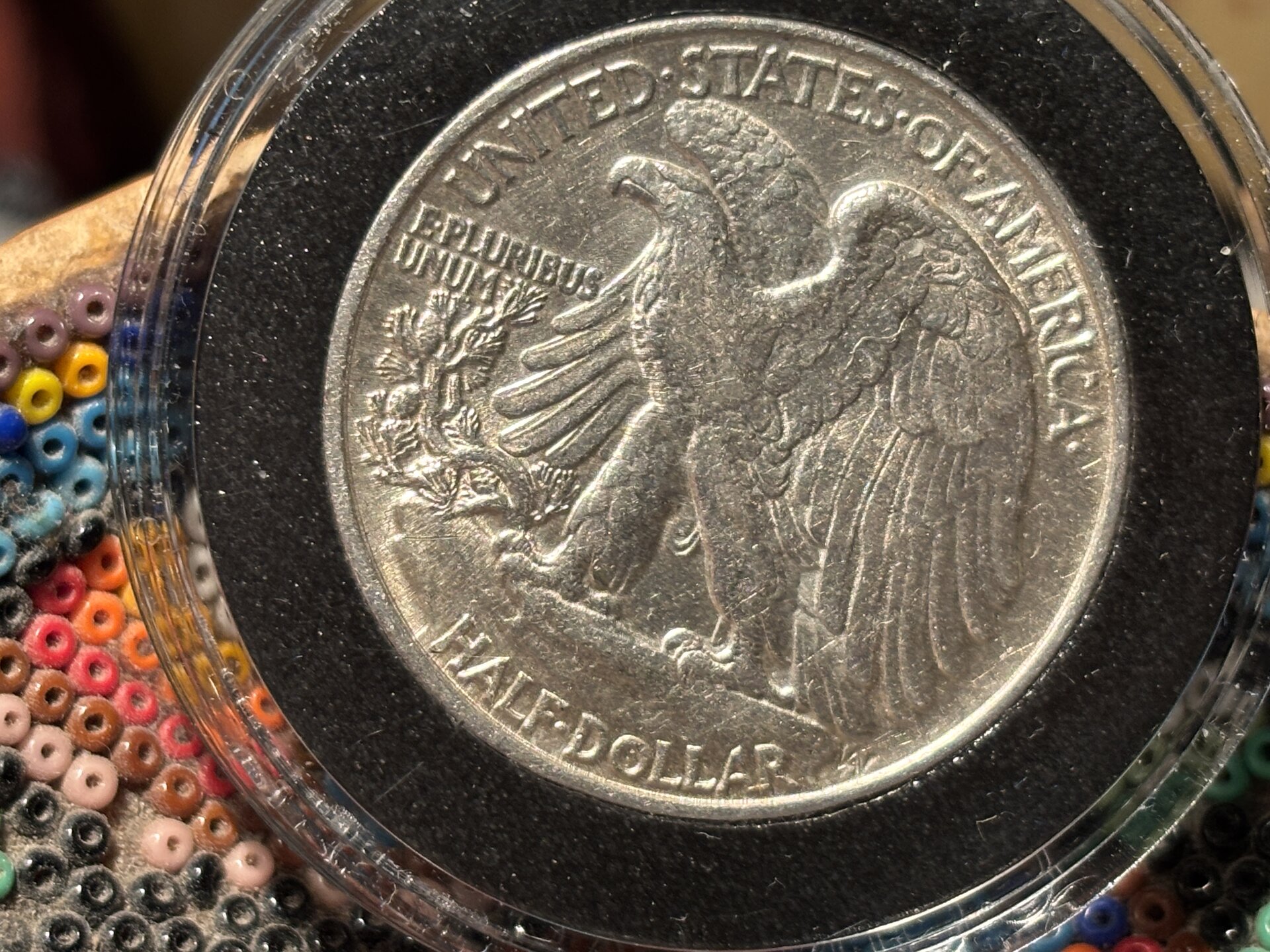 11262053d.jpg