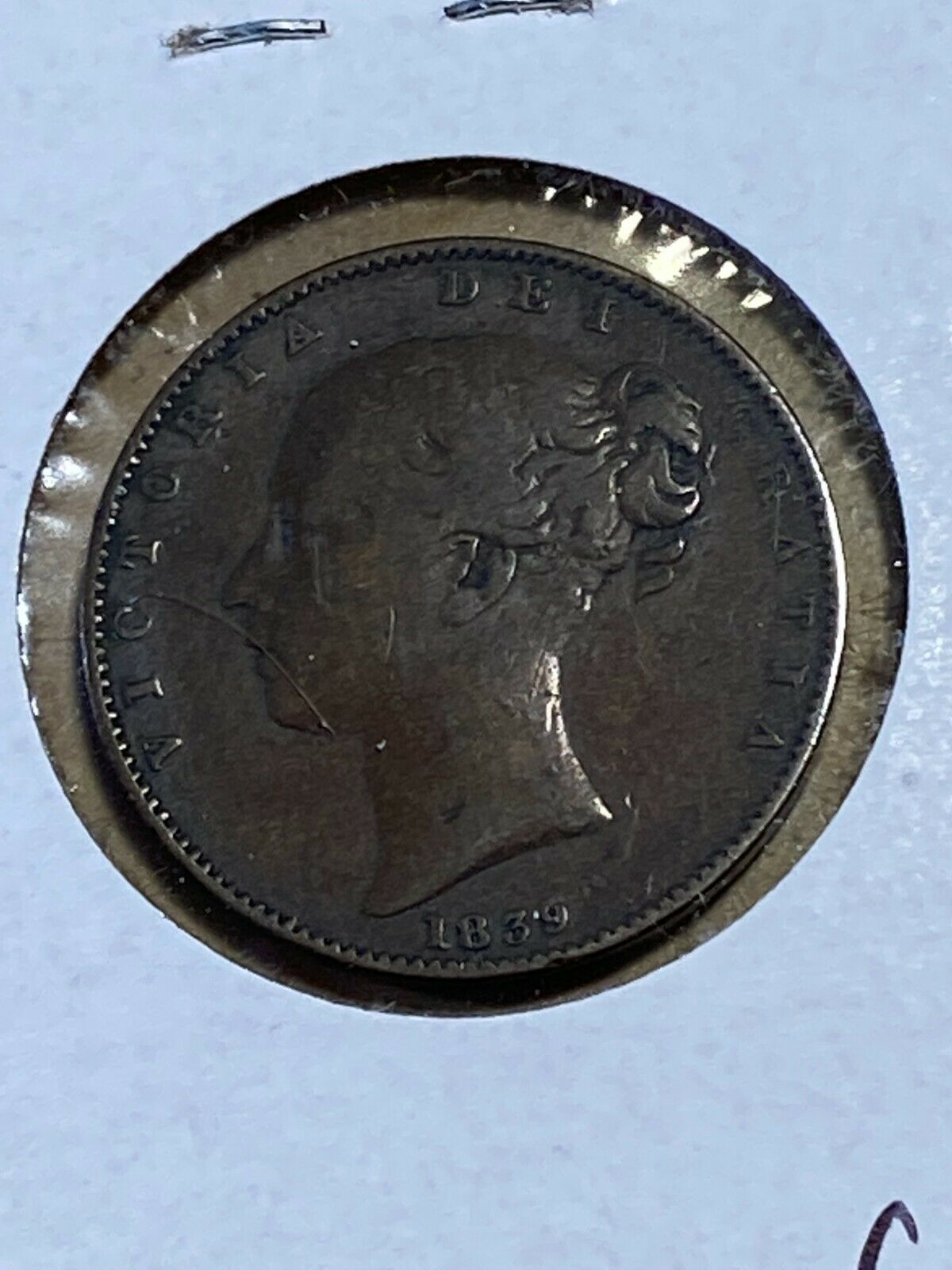 11262175d.jpg