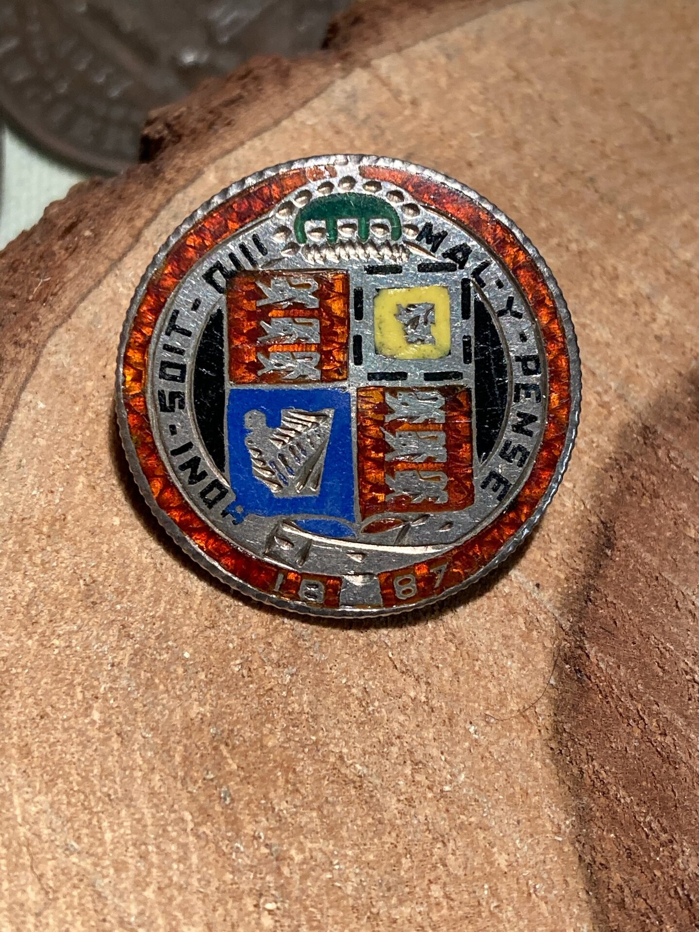 11263552c.jpg