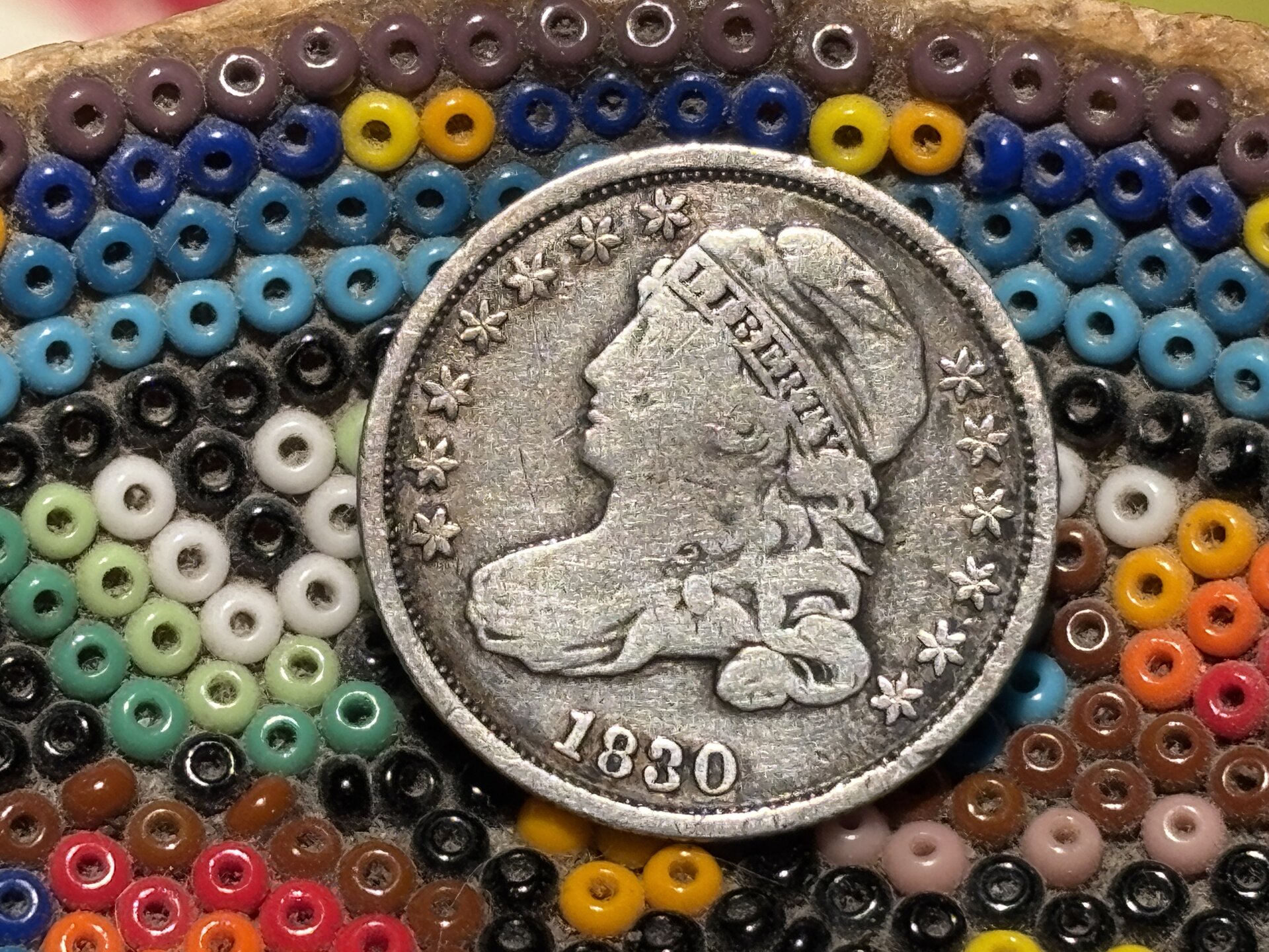 1126402861c.jpg