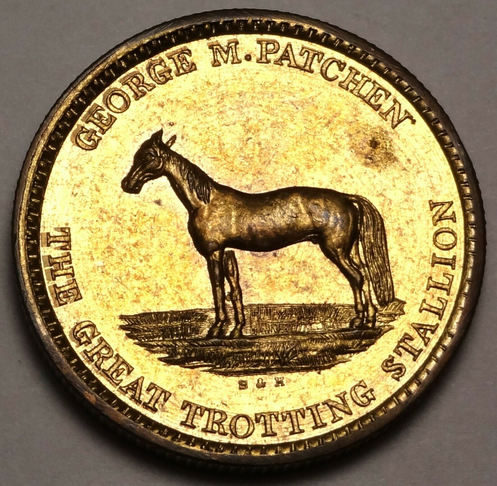 1126408b.jpg
