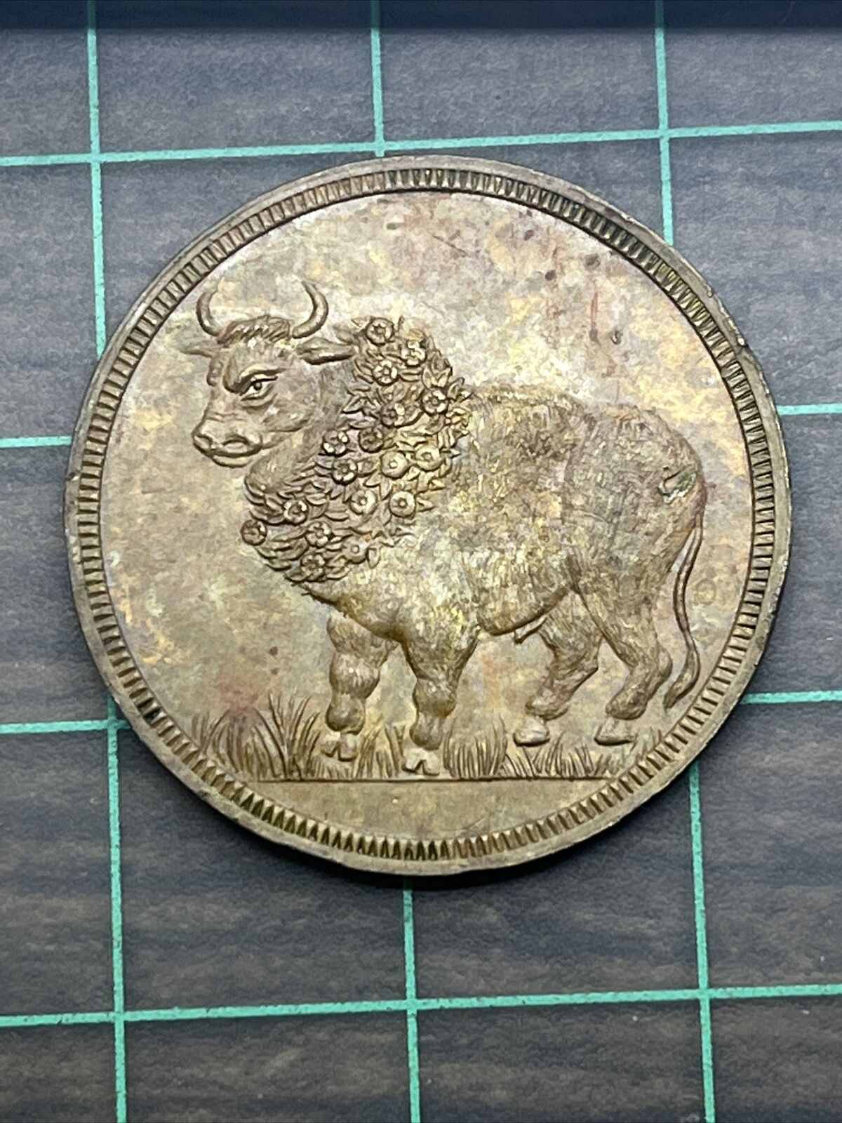 11264620a.jpg