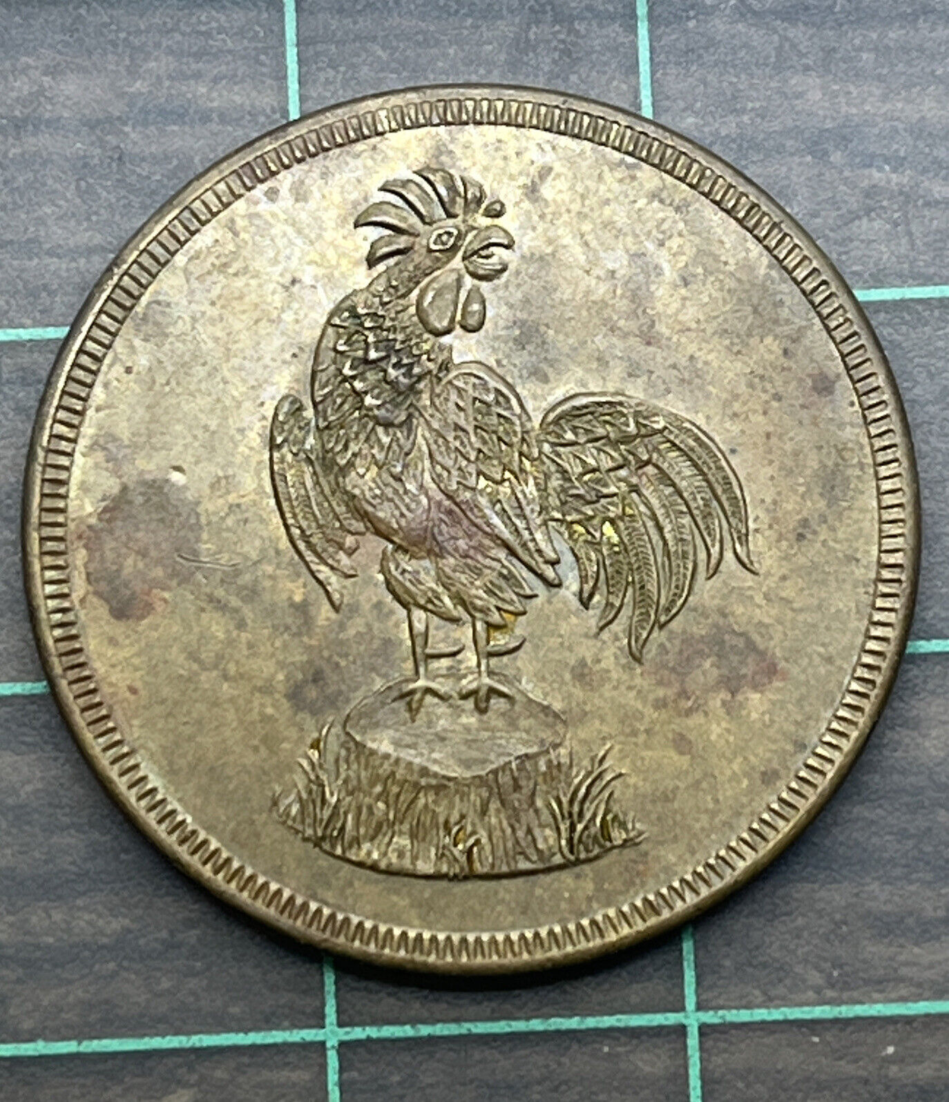 11264620b.jpg