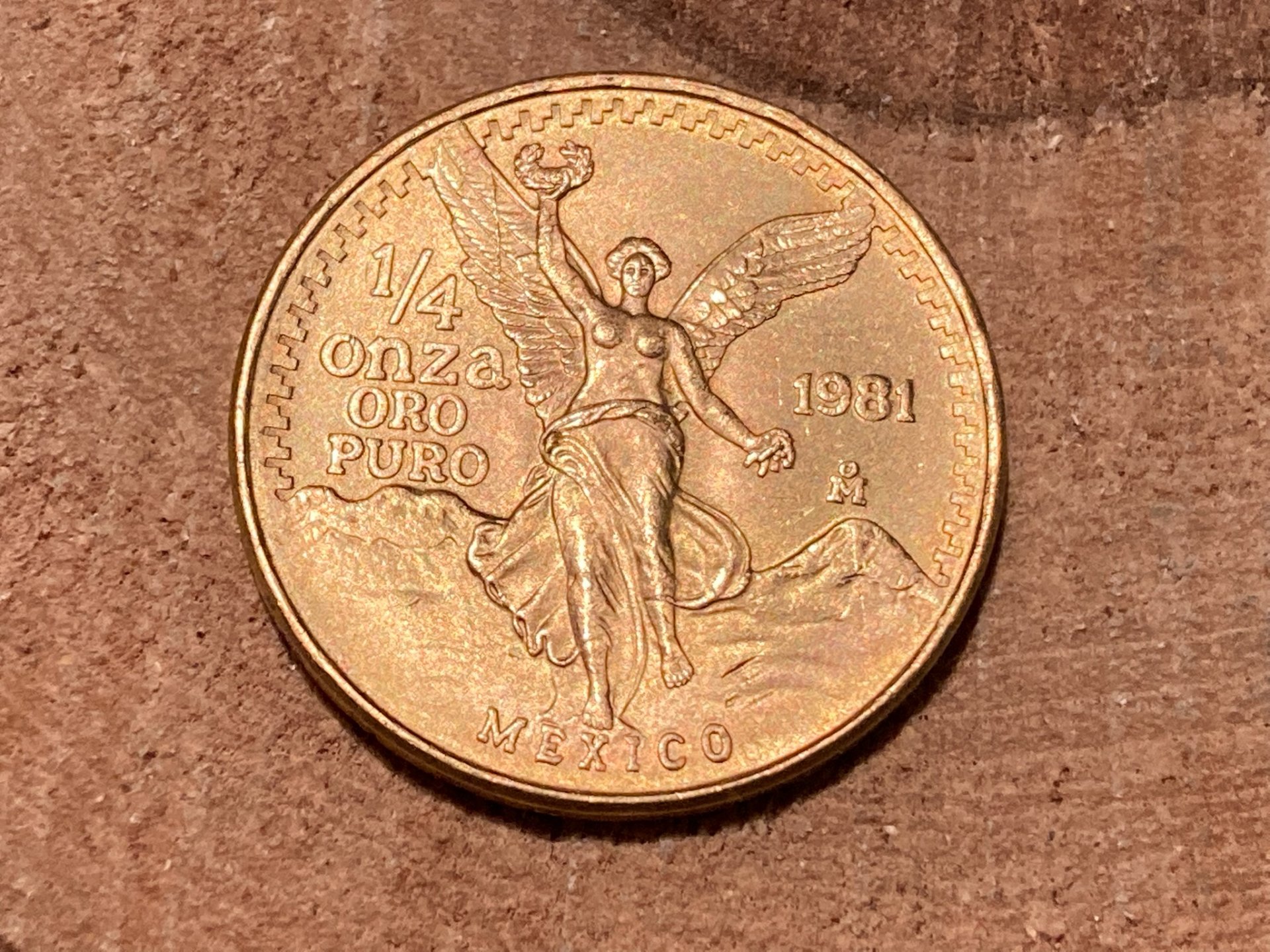 1126593e.jpg